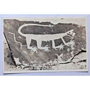 Cat Petroglyph Pictograph Petrified Forest National Monument Arizona RPPC c1940s